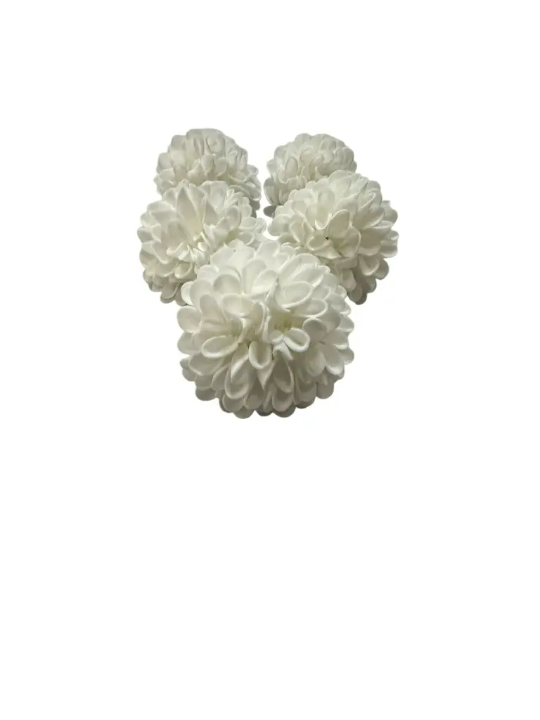 Dahlia White.webp