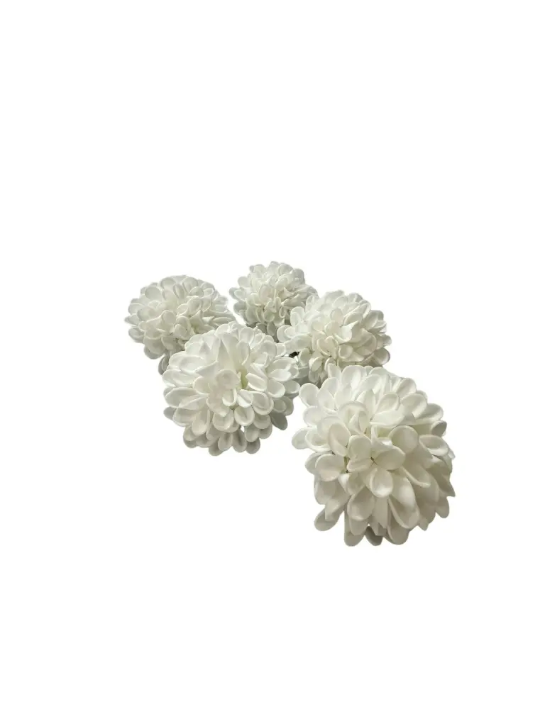 White Dahlia1.webp