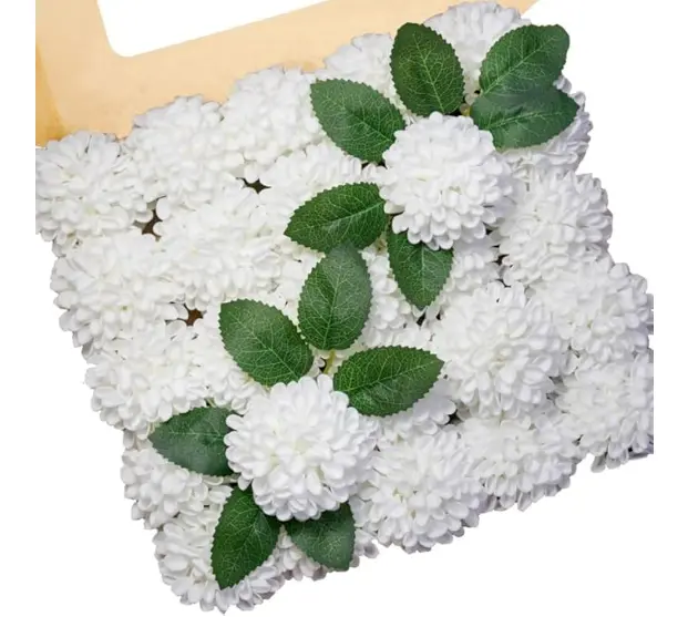 Dahlia White2.webp