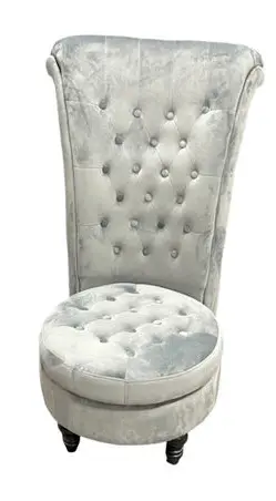Luxury Silver Velvet Chair2.webp