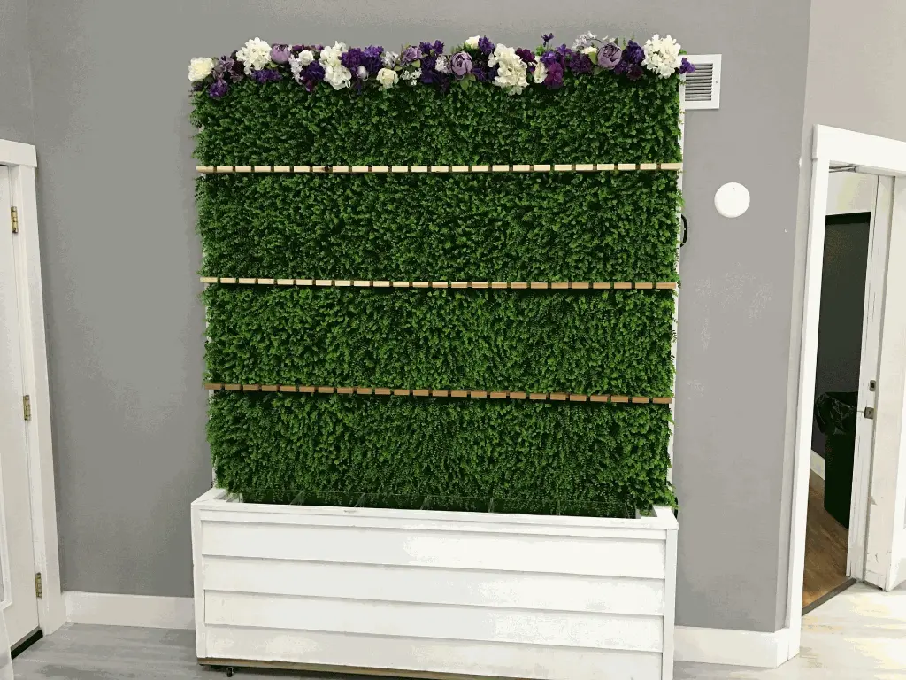 Champagne Wall2.webp