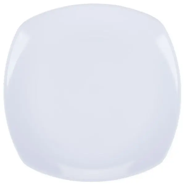 Dinner Plate-Medium