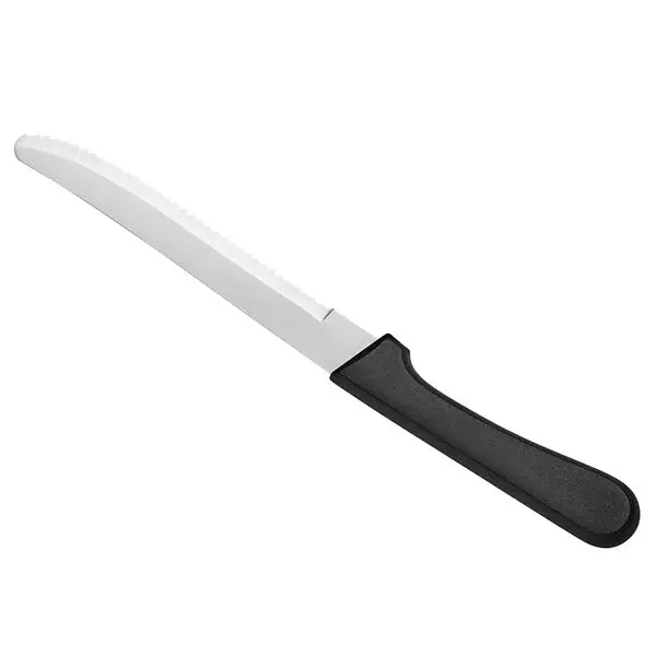 Steak Knife 