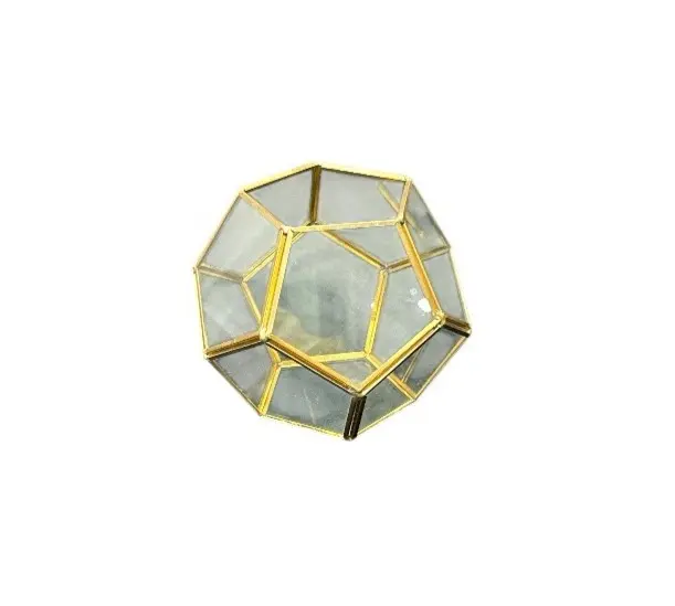 Terrarium: Soccer Ball 