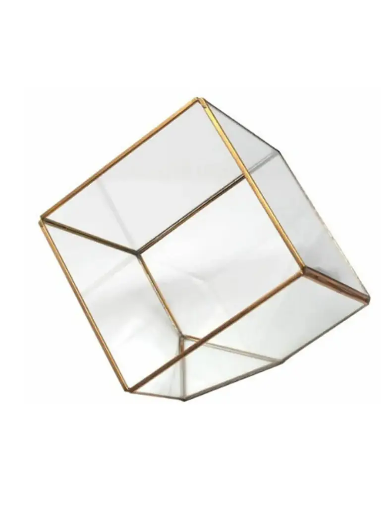 Terrarium: Square 