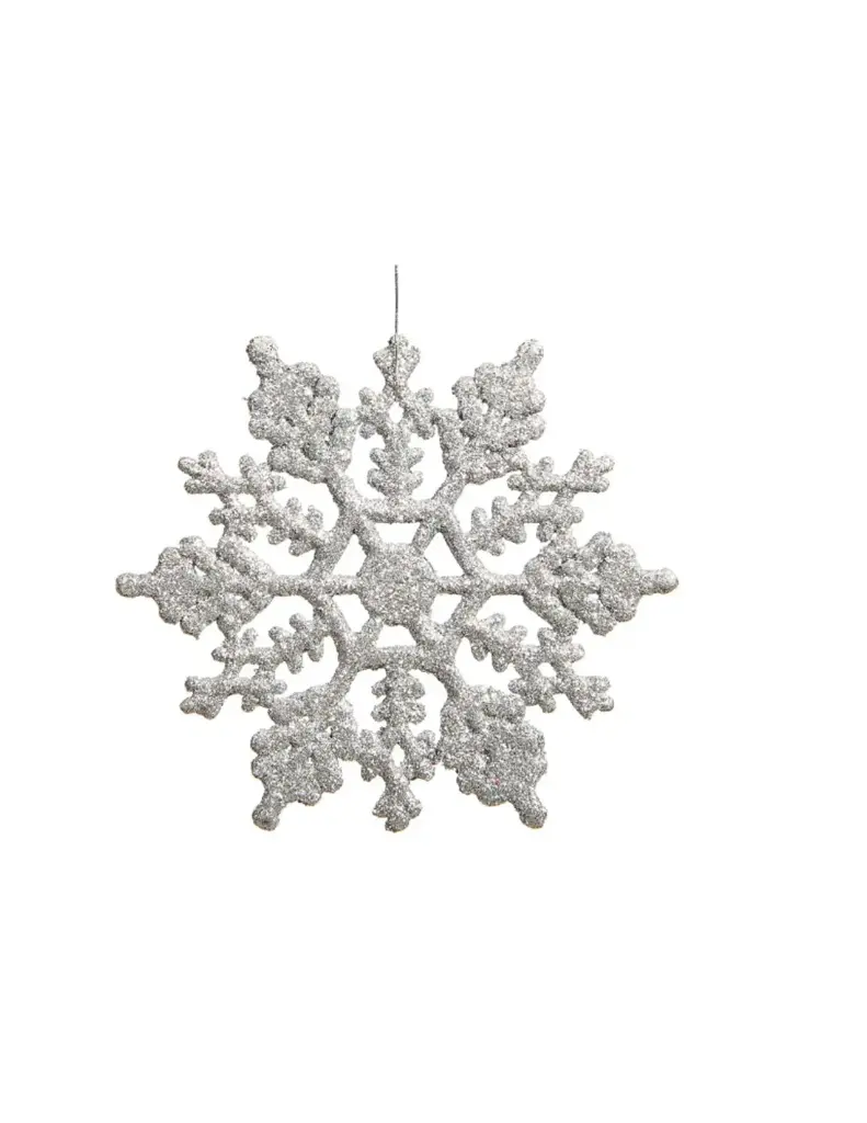 Silver Snowflake 