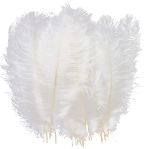 White Feathers 