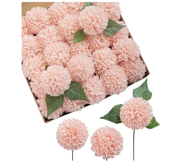 Dahlia: Blush