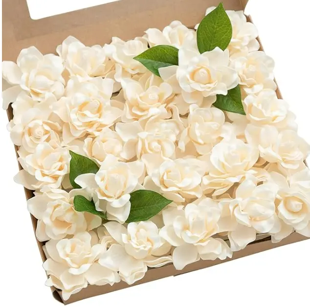 Gardenia: Cream