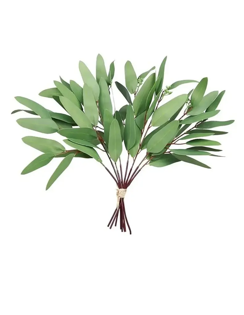 Eucalyptus Ear Sprigs 