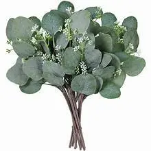 Eucalyptus Silver Dollar Sprigs w/Baby's Breath 