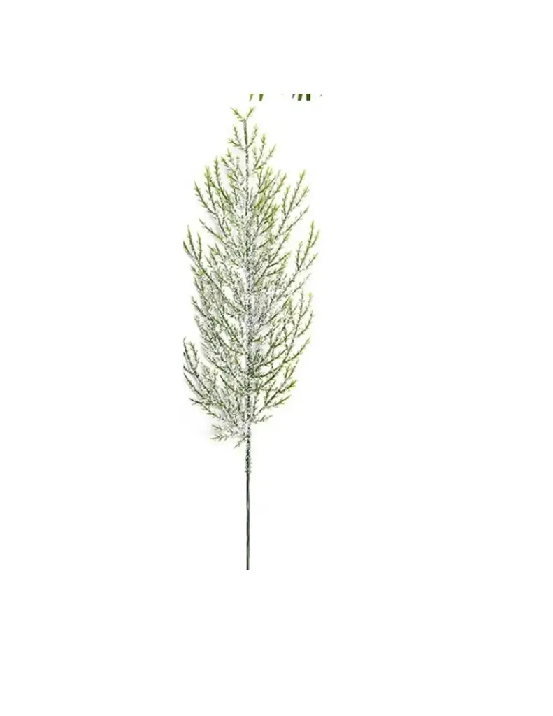 Frosted Pine Sprigs 