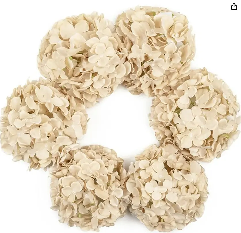 Hydrangea Head: Champagne