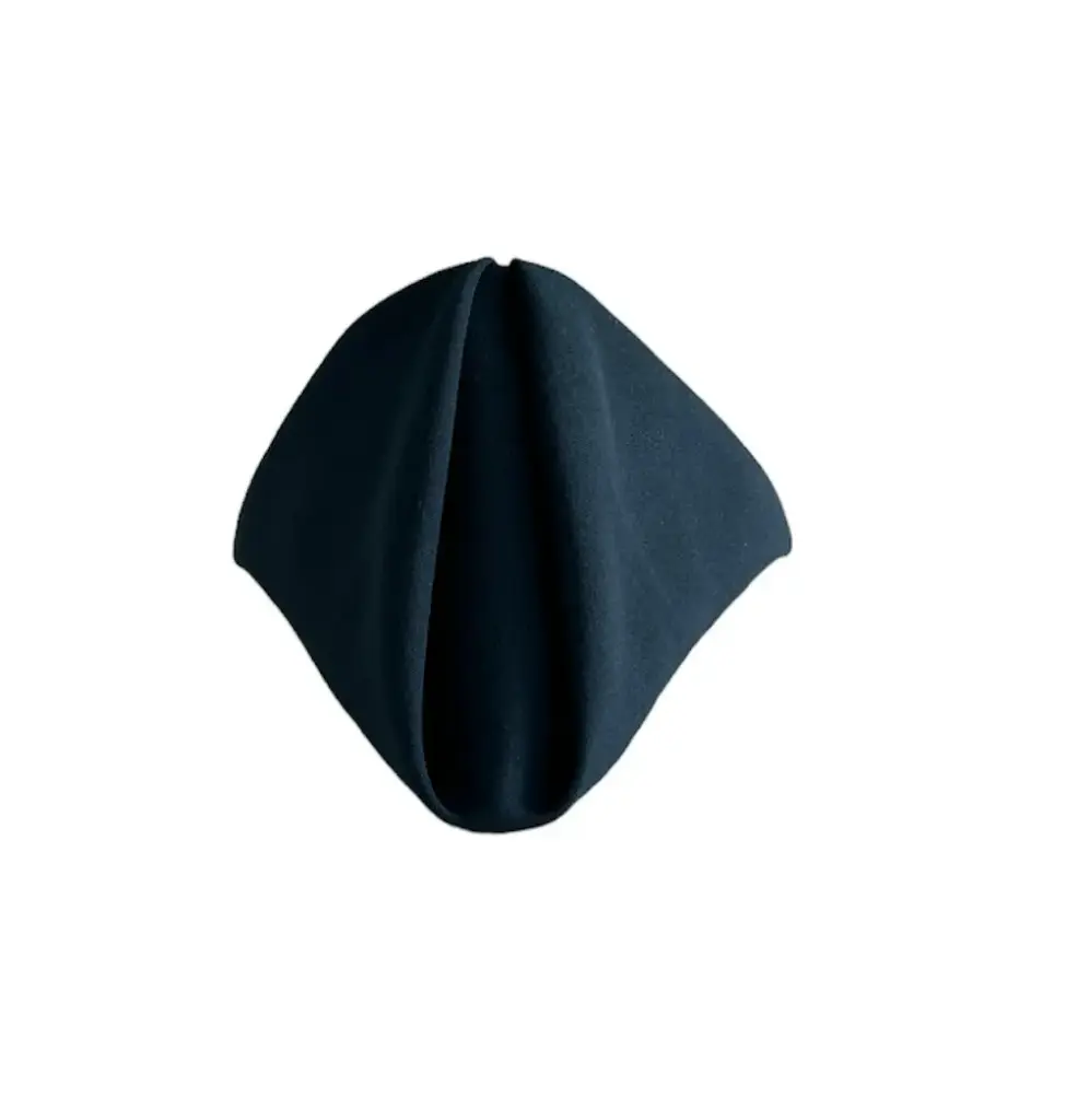 Napkins:  Navy