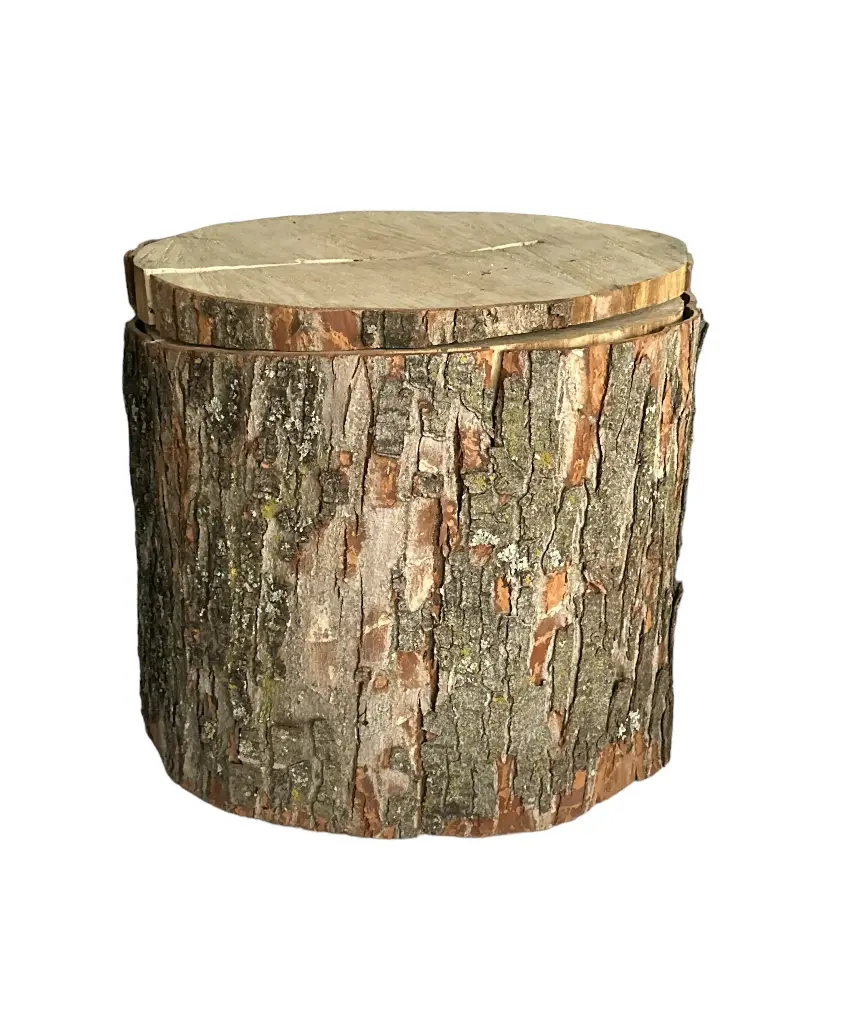 Tree Trunk Card Box 