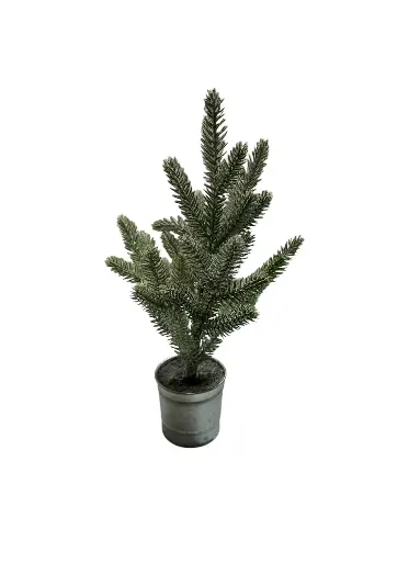 Mini Pine Tree in Tin Bucket