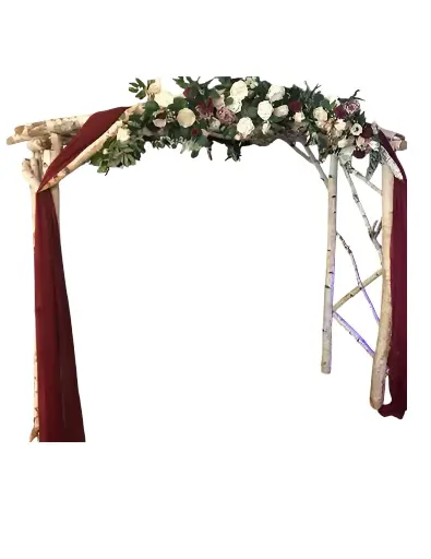 Birch Arch