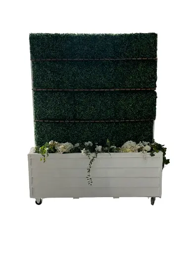 Champagne Wall