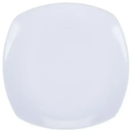 Dinner Plate-Large 