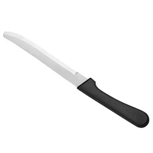 Steak Knife 