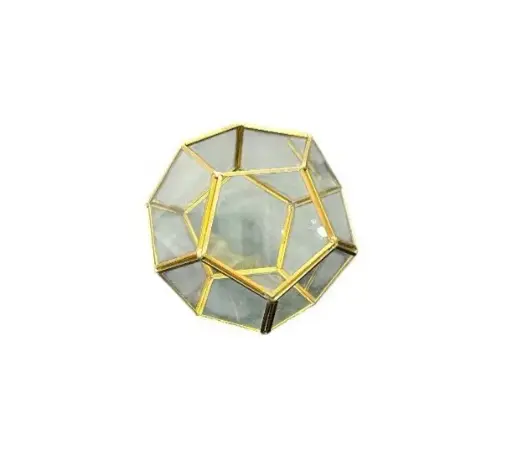 Terrarium: Soccer Ball 