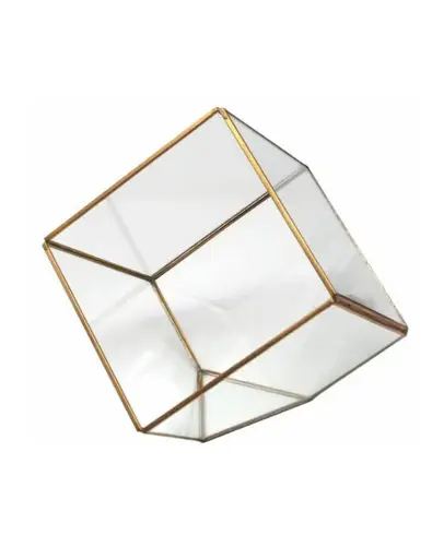 Terrarium: Square 