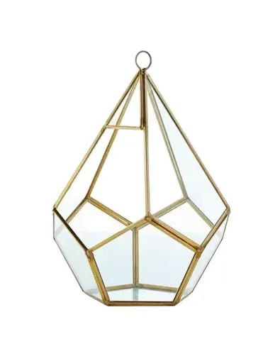 Terrarium: Teardrop-Large 
