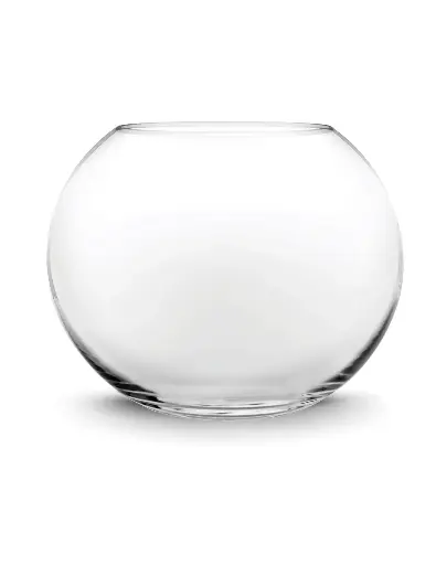 Fishbowl Large 
