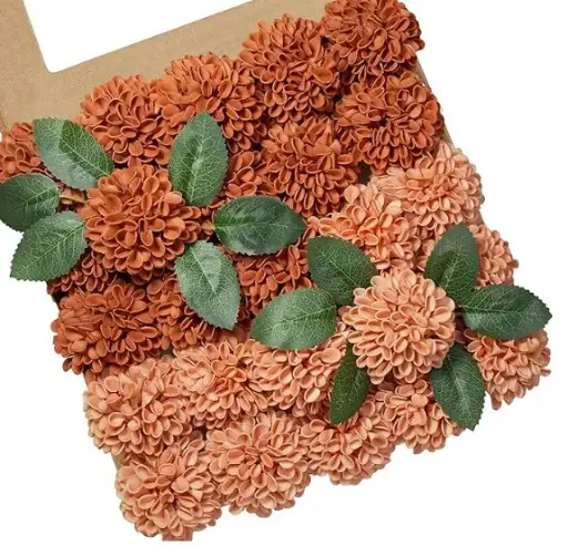Dahlia: Burnt Orange
