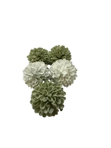 Dahlia: Sage-Variety