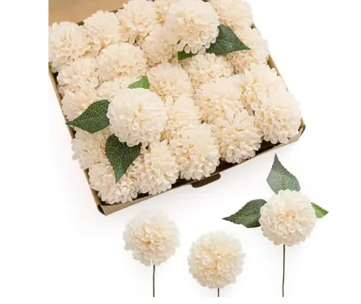 Dahlia: Cream