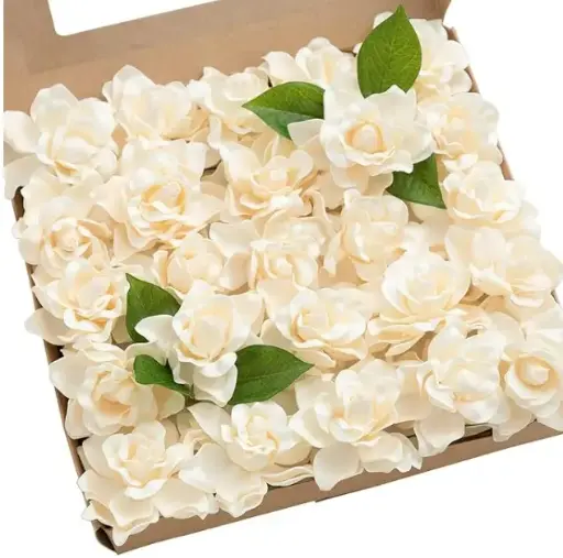 Gardenia: Cream
