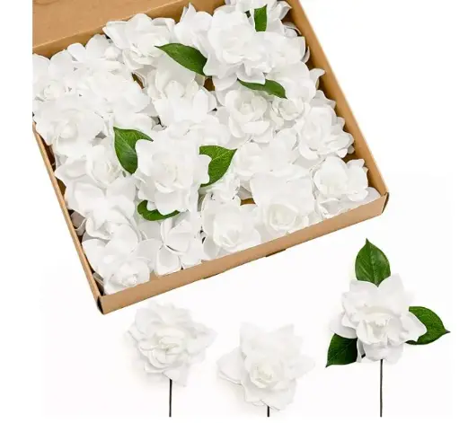 Gardenia: White