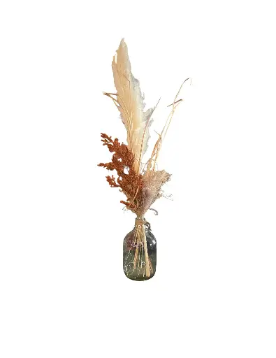 Clear Jug w/Pampas