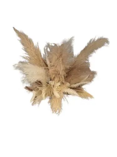 Bouquet: Pampas & Rose 