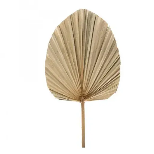 Palm Leaves 