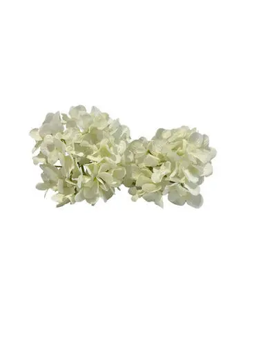 Hydrangea Head: White
