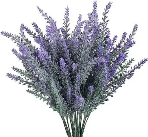 Lavender Sprigs 