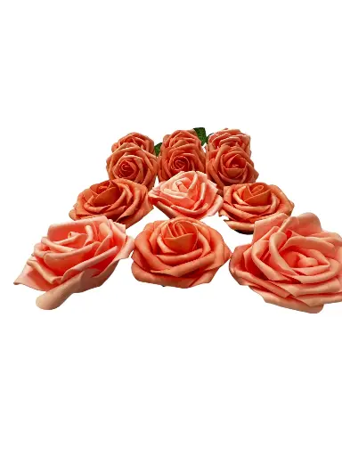 Rose: Coral 