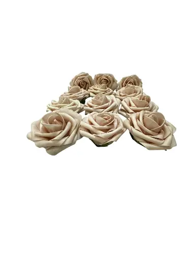 Rose: Dusty Rose
