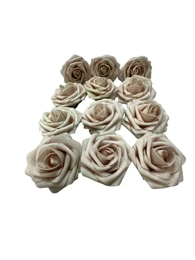 Rose: Light Mauve
