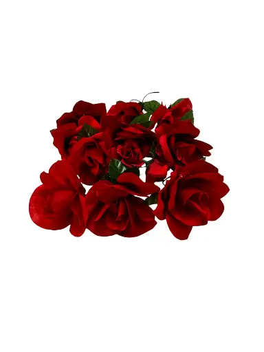 Rose: Satin Red
