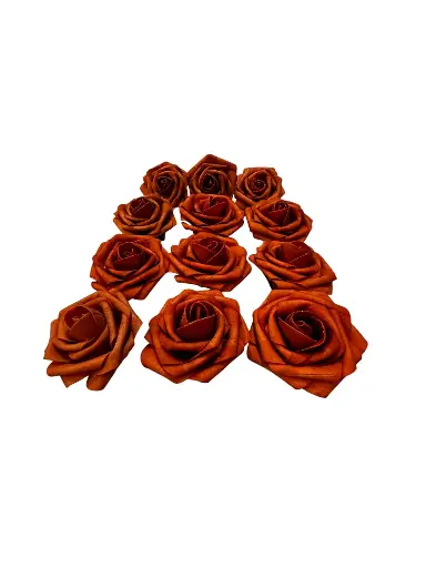 Rose: Terracotta