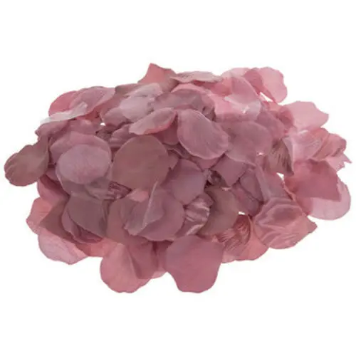 Mauve Rose Petals