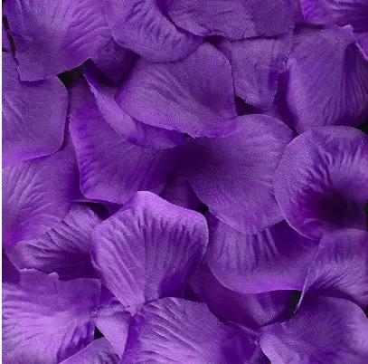 Purple Rose Petals