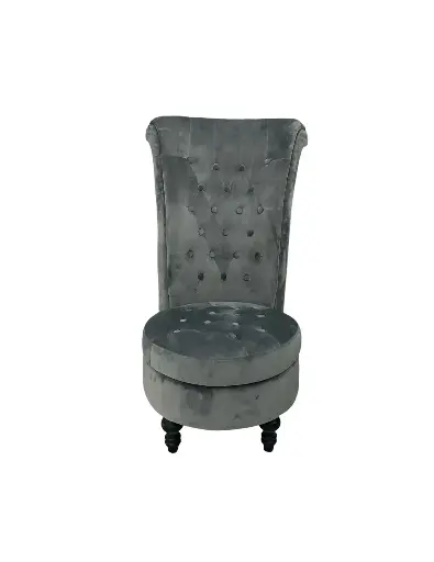 Luxury Silver Velvet Chair 