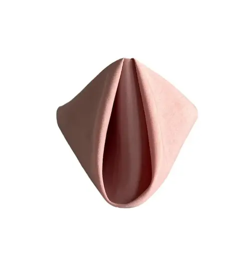 Napkins:  Blush