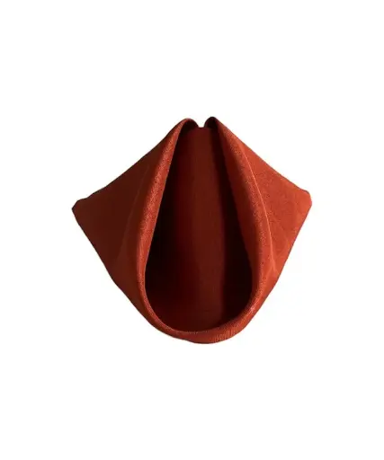 Napkins:  Burnt Orange
