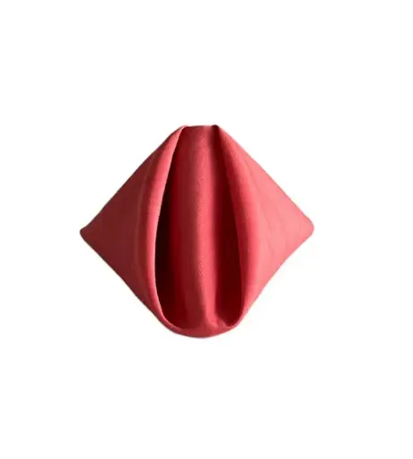 Napkins:  Salmon