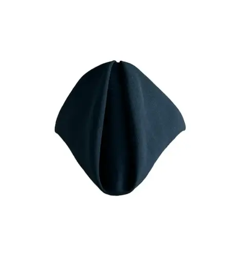 Napkins:  Navy